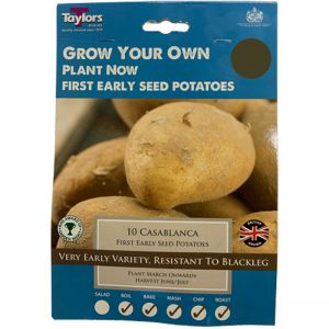 Taylors Grow Your Own 'Casablanca' Seed Potatoes