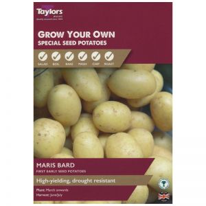 Taylors Bulbs - Maris Bard Seed Potatoes - First Early