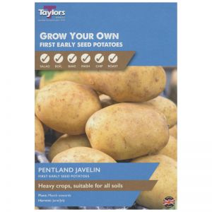 Taylors Bulbs - Pentland Javelin - First Early Seed Potatoes