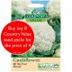 Country Value All Year Round Cauliflower Seeds 