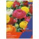 Taylors Bulbs - Mixed Ranunculus (Extra Value Pack)