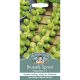 Mr. Fothergill's - Brussels Sprout Seeds - Napoleon F1