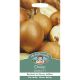 Mr. Fothergill's - Onion Seeds - Santero F1