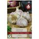 Taylors Bulbs - Germidour Garlic