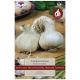 Taylors Bulbs - Thermidrome Garlic