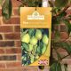 Pear (Pyrus) Invincible delwinor fertilia 11.5 L