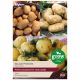 Taylors Bulbs - Salad Potato Collection - Second Early Seed Potatoes