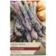 Taylors Grow Your Own 'Pacific Purple' Variety Asparagus