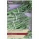 Taylors Bulbs - Connover's Colossal - Asparagus