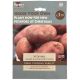 Taylors Bulbs - 10 Desiree Seed Potato