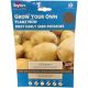 Taylors Grow Your Own 'Rocket' Variety Seed Potatoes