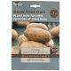 Taylors Bulbs - Winter Wilja Seed Potato