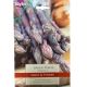 Taylors Grow Your Own 'Pacific Purple' Variety Asparagus