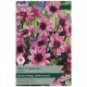 Pretty Woman Dahlia - Taylors Bulbs