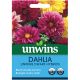 Unwins Dahlia Dwarf Hybrid Seeds