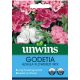 Unwins Godetia Azalea Flowered Mix Seeds