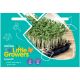 Unwins Little Growers Cress Seed Kit