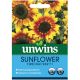 Unwins Sunflower Firecracker F1 Seeds