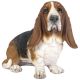 Vivid Arts Real Life Dogs - Basset Hound Garden Ornament