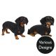 Vivid Arts Real Life Dachshund - Design Choice