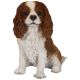 Vivid Arts Real Life Dogs - King Charles Spaniel Garden Ornament