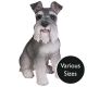 Vivid Arts Real Life Dogs - Miniature Schnauzer Garden Ornament