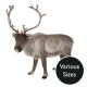 Vivid Arts Real Life Woodland - Reindeer Garden Ornament