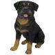 Vivid Arts Real Life Dogs - Rottweiler Garden Ornament