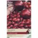 Taylors - Red Baron Onion Sets