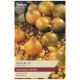 Taylors - Stur BC 20 Onion Sets