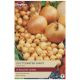 Taylors - Stuttgarter Giant Onion Sets