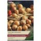 Taylors Grow Your Own 'Golden Gourmet' Variety Shallots