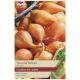 Taylors Bulbs - Yellow Moon Shallots