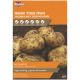 Taylors Bulbs - Acoustic - Second Early Seed Potatoes