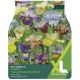 Taylors Bulbs - Breeders Mix - Iris Sibirica (XL Value Pack)