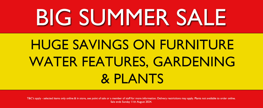 Big Summer Sale 2024 now on In Store and Online
