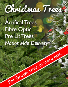 Shop our range of Artificial and Real Christmas Trees