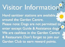 Waterside Visitor Information