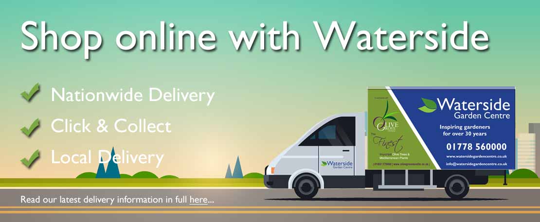 Order online for nationwide home delivery